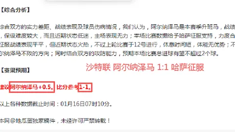 萊切足球俱乐部概述