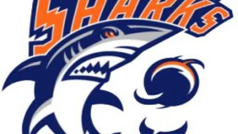 勇士VS快船比赛分析：专家解读NBA精选对决